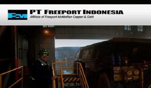 Stop FREEPORT!