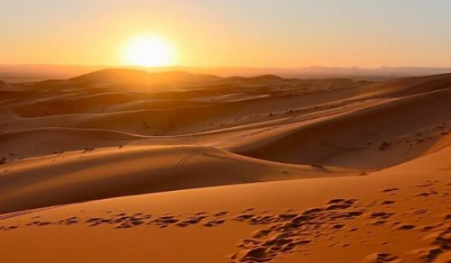 The Noble Companion Jarir ibn Abdullah al-Bajali (ra)