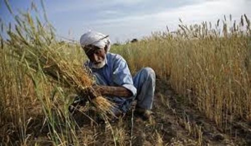 Ameer&#039;s Q &amp; A: Is it Permissible for Land to have a Financial Return?