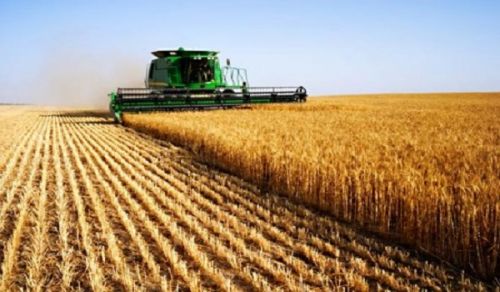 Man-Made laws have Denied Pakistan its True Agricultural Potential