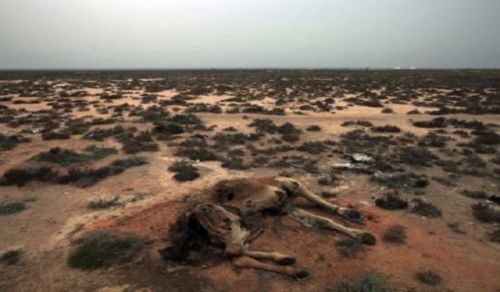 Tunis the Capital without Water for Five Days: Has the Privatization of the Water Company Begun?