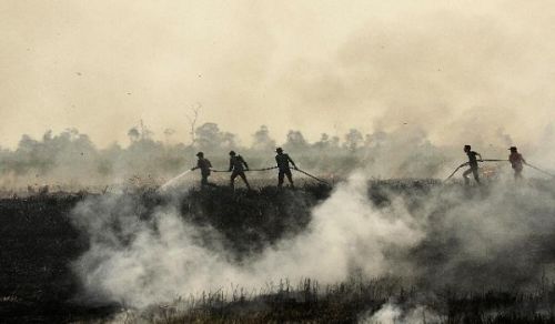 How to terminate the haze disaster