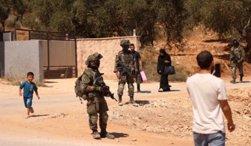 The Settlers Continue Their Crimes and the Rulers Enjoy Their Inaction!