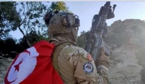 Pushing the Tunisian Army into Military Exercises under the Command of AFRICOM Is a Major Crime