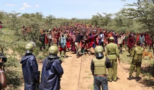 Issue of Ngorongoro: Challenge Is Capitalism Not Masai Community