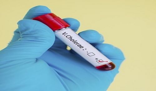 Cholera Outbreak in Zanzibar