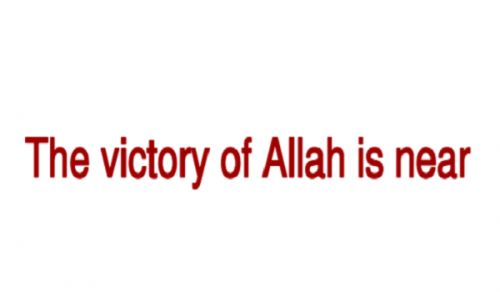 And Allah will surely support those who support Him. [Al-Hajj:40]