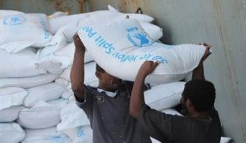 What is the Real Role of International Organizations Operating in Yemen?