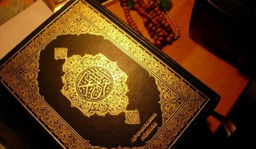 The Answers regarding the Environment Crisis Lie within the Qur&#039;an and Sunnah