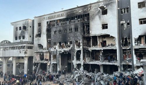 The Shifa Massacre is a Witness to the Failure of the Rulers and the Criminality of the Enemies!
