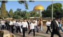 Isn't It Time for Al-Aqsa Mosque To Be Purified?!