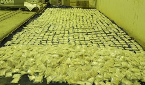 Syria is the Drugs Production Capital of the Middle East under Capitalist Rules