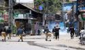 Occupied Kashmir, Betrayed by the Rulers of Muslims