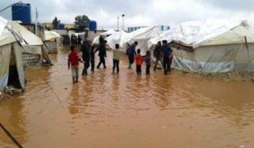 Care in Yemen is Weaker than a Spider&#039;s Web!