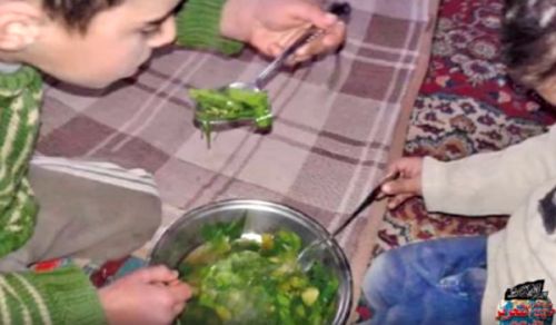 Wilayah Syria: Madaya, Zabadani, &amp; Tamotan will Die from Starvation under Care of UN