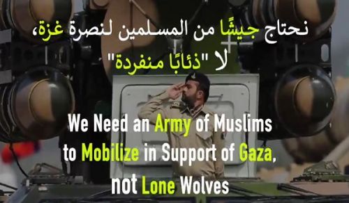 We Need an Army of Muslims to Mobilize in Support of Gaza, not Lone Wolves!
