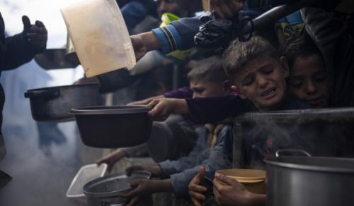 Whoever Prevents Bread from Reaching Gaza Should Not Speak of Integrity, O Minister of Foreign Affairs Rafah: In the Cage of Occupation... or in the Grip of the Egyptian Regime?!