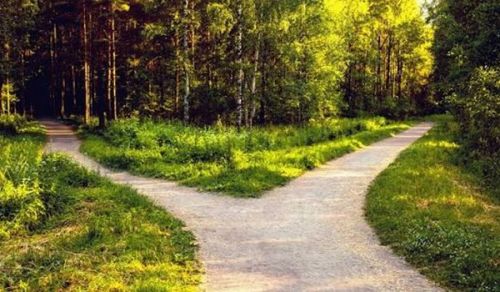 Humanity: Between the Trust of Istikhlaaf (Vicegerency) and the Illusion of Fleeting Life