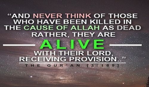 The Pursuit of Martyrdom