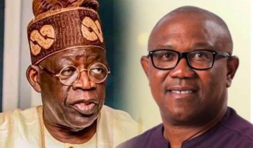 Answer to Question The Political Scene in Nigeria