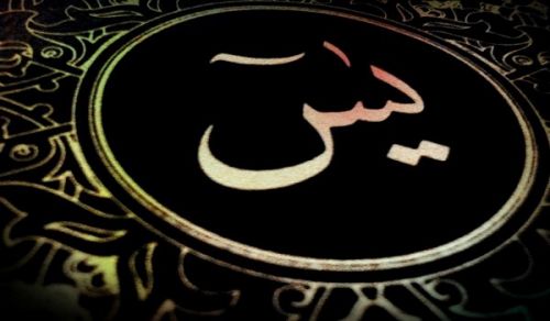 Ayah Reflection: Surah Yasin, 36:12
