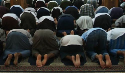 The Danish Government Has Lost the Battle Against Islamic Family Values