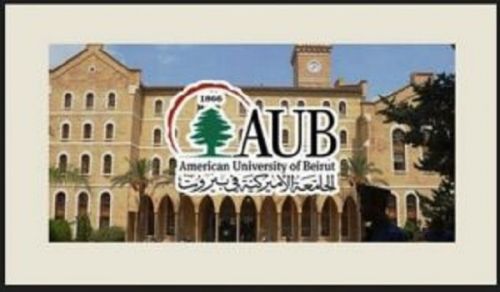 The Persistence of Feminist and Gay Associations to the Point of Spreading Obscenity among Believers is a Blatant Assault on the Honor of Muslims.
