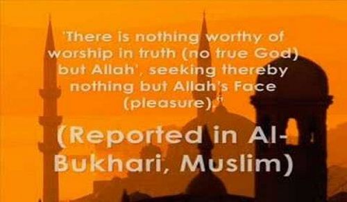 Stop the Spilling of Sacred Blood ... Stop the Violation of Sanctities