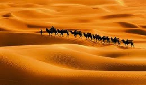 The Karbala Tragedy is a Solemn Reminder that Ruling Without Legal Bay’ah is Unacceptable in Any Era