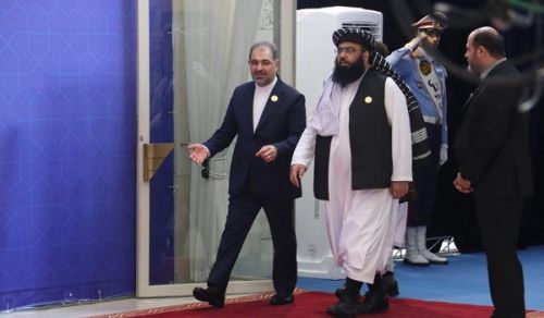 With Firm Loyalty to Doha Agreement, Afghanistan Won’t Dare to Do Anything Even If It Shared a Border with Palestine!