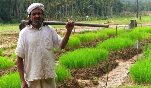 Deeply Oppressed Indian Farmers Are Sad Reminders of the Need for Khilafah in Pakistan, to Resume Islam’s Caring Guardianship of the Region