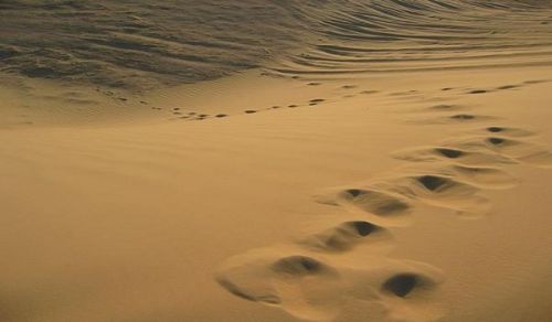Ameer&#039;s Question &amp; Answer: Mus’ab Ibn Umair And Seeking the Nusra