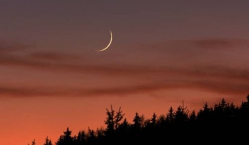 Wilayah Syria: Activities for Sighting the crescent of the Holy Month of Ramadan 1446 AH