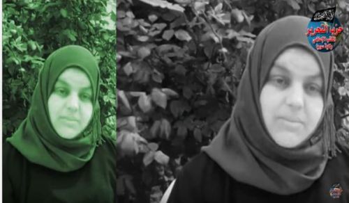 Wilayah Syria: Talk entitled, "From Land of Ash Sham Comes Great News"