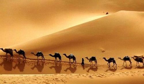 Question &amp; Answer: The Migration of the Prophet (saw) and the Beginning of the Hijri Calender
