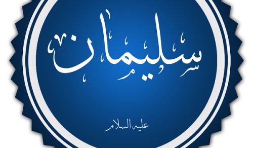 Heroic Stands by Shiekh Abu Nizhar Ash Shaami:  HudHud - International Political Da’wah