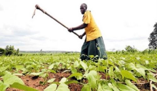 The Sugar Conflict in Tanzania is a Deliberate Ploy