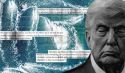America's War of Choice:  The Law of the Jungle, Paid for by the People