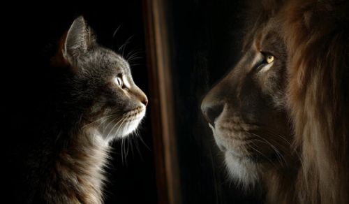 LEADERS MUST NOW REALIZE THAT AMERICA IS A PAPER TIGER!