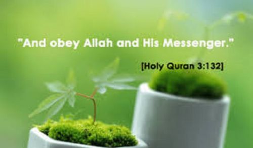 Hastening to the Obedience of Allah