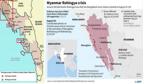 The Rohingya Crisis: History and Politics
