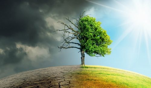 Is New Green Technology the Solution for the Environmental Crisis, or Just More of the Same?