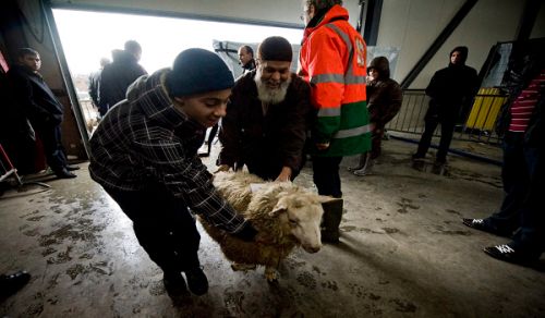 European Justice Court Maintains Ban on Halal Slaughter, Thereby Creating Precedent to Ban it in the whole of Europe
