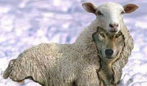 How Feminism Fractured the Family PART 1 Feminism: A Wolf in Sheep’s Clothing