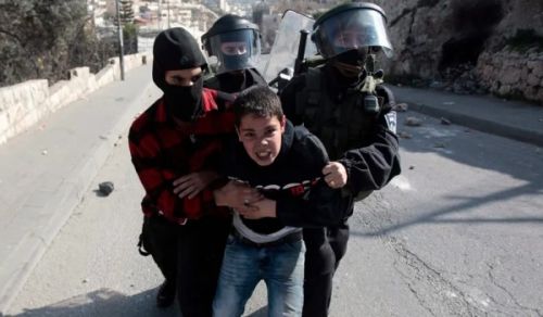 Palestine between the Method of Sharia Change and Partial Solutions