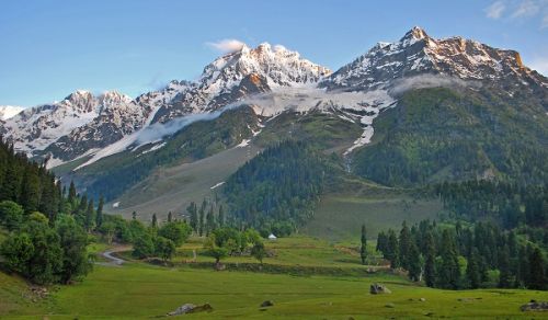 The Political and Military Leadership of Pakistan Abandoning Kashmir as a Morsel for the Ravenous Hindu State