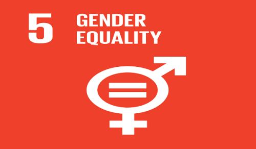 The Promotion of the Idea of Gender Equality in Central Asia