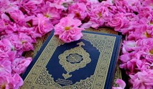 With the Noble Quran Allah is the ally of those who believe. He brings them out of darkness into light.