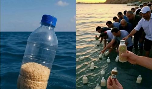 Plastic Bottles with Food: Heroism of Some and Treacherous Betrayal of Others