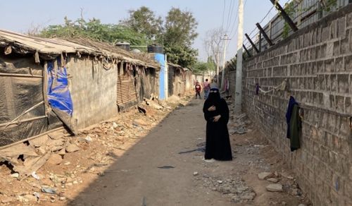 Rohingnya Plight and the Neglect of the Muslim Leaders